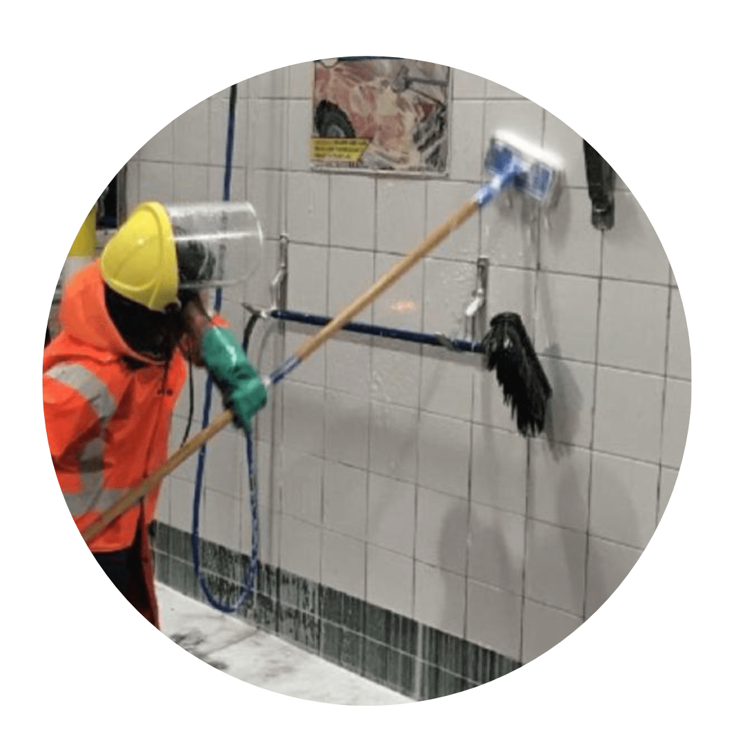 Cipher has a dedicated team to clean all kinds of carpets ranging from Upholstery, curtains, and floor carpet. We have a special team for water extraction